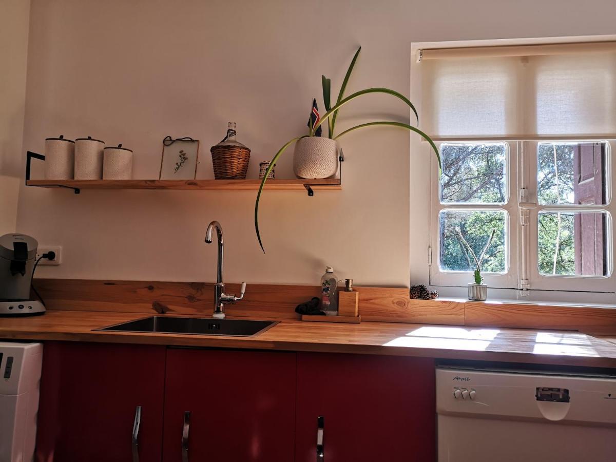 Maison Entiere Hameau Monastir Del Camp Holiday home